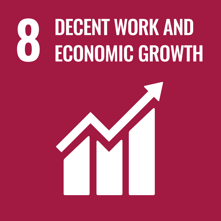 <b>SDG8 – MENSCHENWÜRDIGE ARBEIT UND WIRTSCHAFTSWACHSTUM</b><br>Dauerhaftes, breitenwirksames und nachhaltiges Wirtschaftswachstum, produktive Vollbeschäftigung und menschenwürdige Arbeit für alle fördern