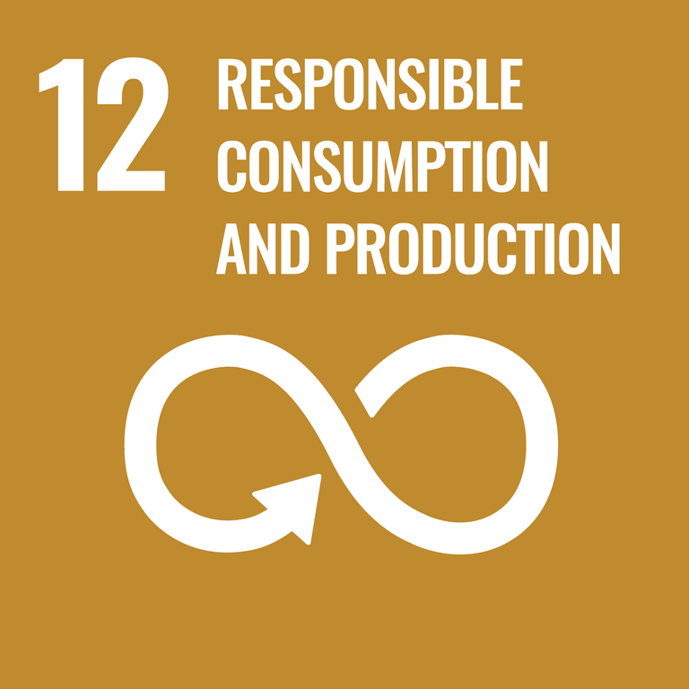 <b>SDG12 – NACHHALTIGKEIT BEI KONSUM UND PRODUKTION</b><br>Nachhaltige Konsum- und Produktionsmuster sicherstellen